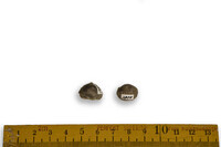 F 01830
          <br/>
          
          <br/>
          <em></em>